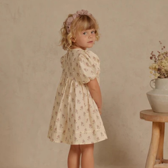 Noralee Other - Noralee Vintage Rose Luna Dress with Bloomers Size 2